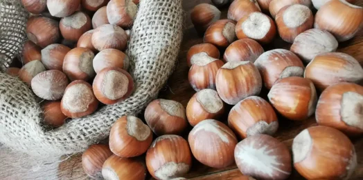 Fiera Nazionale della Nocciola